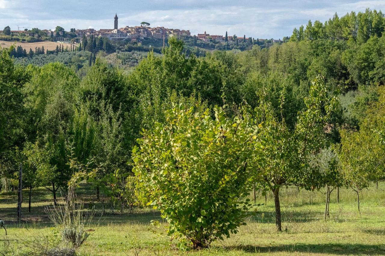 Agriturismo La Valle Peccioli Eksteriør bilde