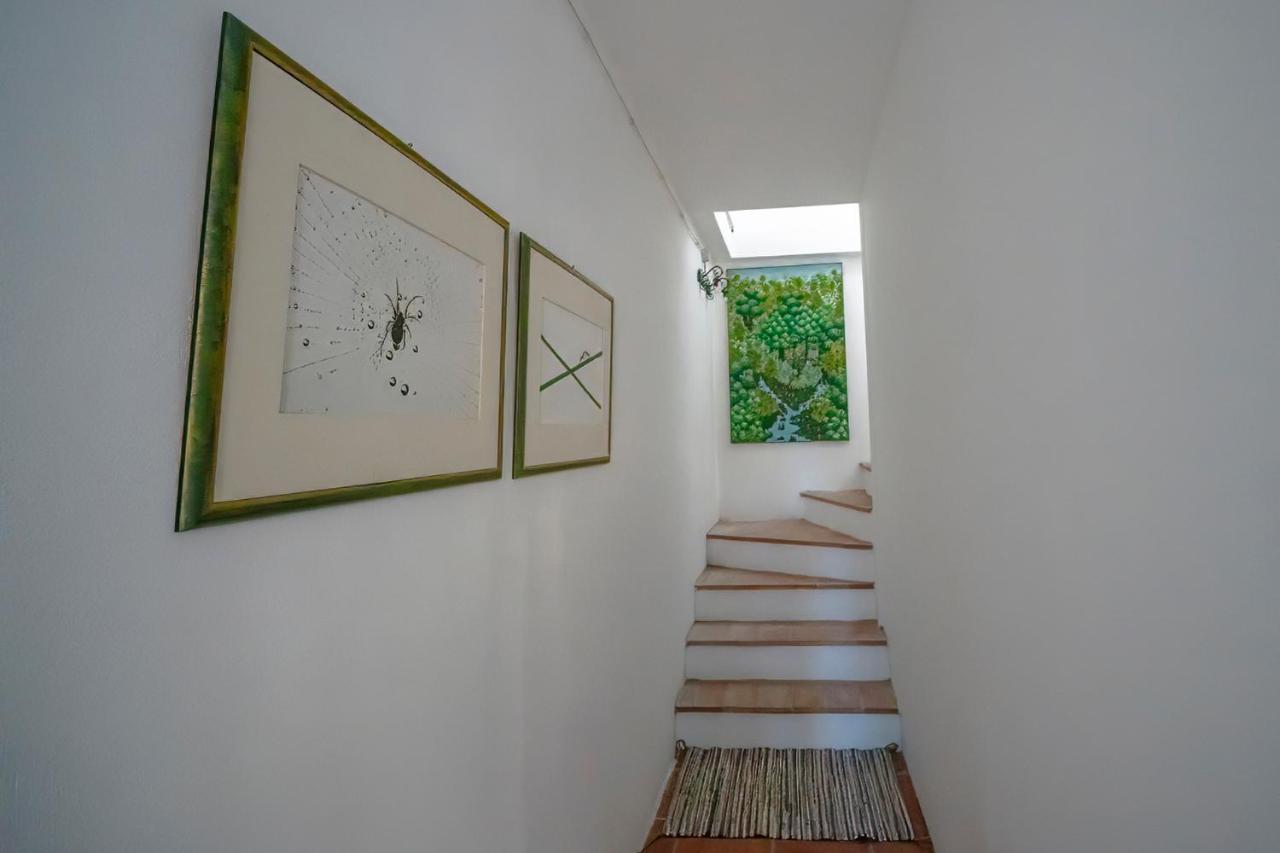 Agriturismo La Valle Peccioli Eksteriør bilde